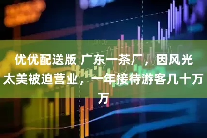 优优配送版 广东一茶厂，因风光太美被迫营业，一年接待游客几十万