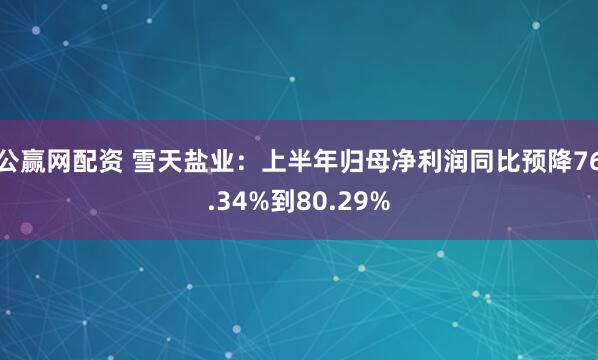 公赢网配资 雪天盐业：上半年归母净利润同比预降76.34%到80.29%